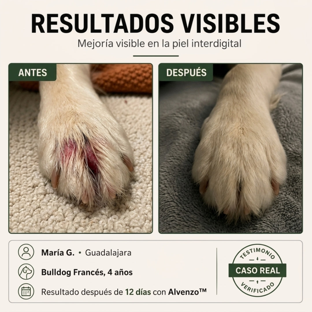 Fórmula veterinaria natural para eliminar hongos en perros