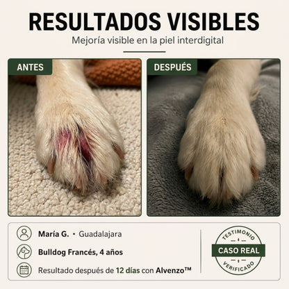 Fórmula veterinaria natural para eliminar hongos en perros
