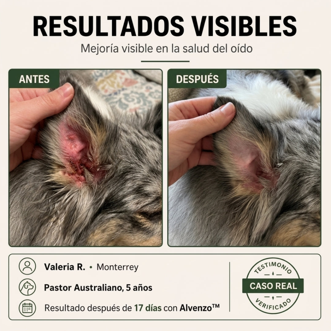 Fórmula veterinaria natural para eliminar hongos en perros