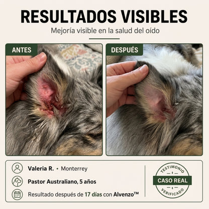 Fórmula veterinaria natural para eliminar hongos en perros