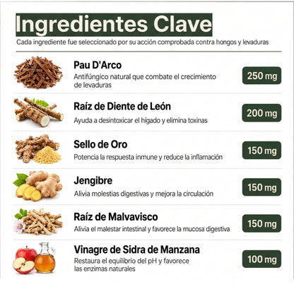 Fórmula veterinaria natural para eliminar hongos en perros