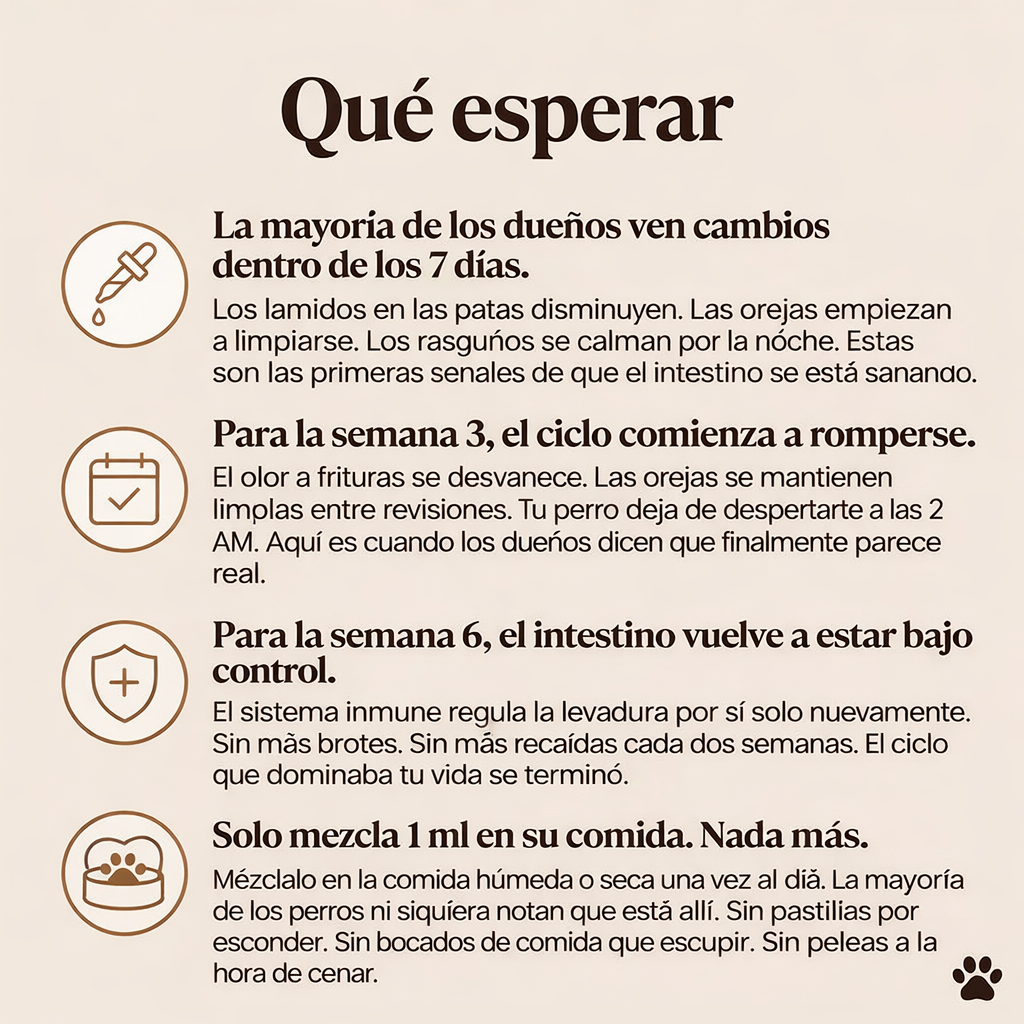 Gotero Natural para Infecciones por Hongos