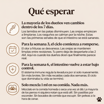 Gotero Natural para Infecciones por Hongos