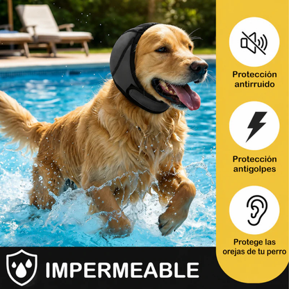 Protege a tu perro del pánico por fuegos artificiales, tormentas y ruidos fuertes.