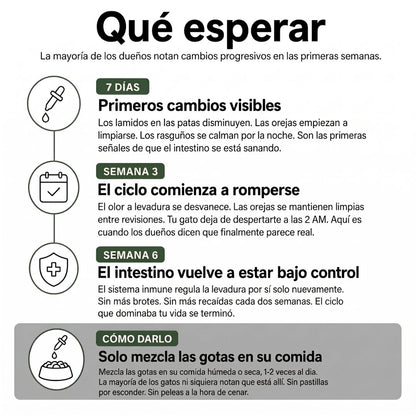 Fórmula Veterinaria Natural para Eliminar Hongos en Gatos