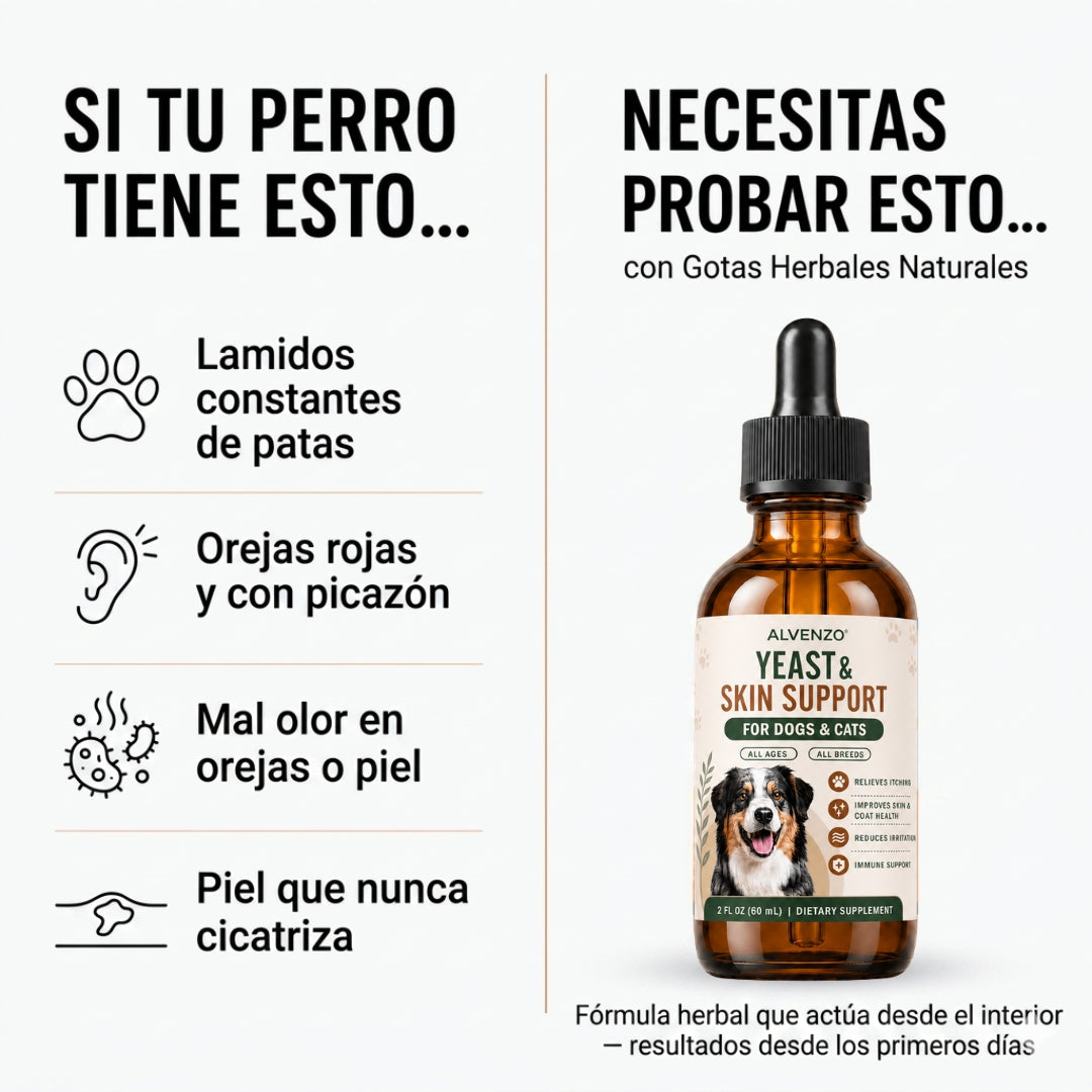 Fórmula veterinaria natural para eliminar hongos en perros