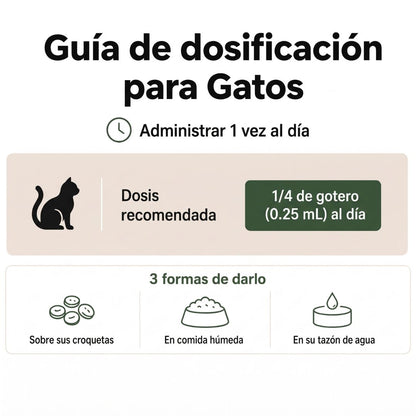 Fórmula Veterinaria Natural para Eliminar Hongos en Gatos