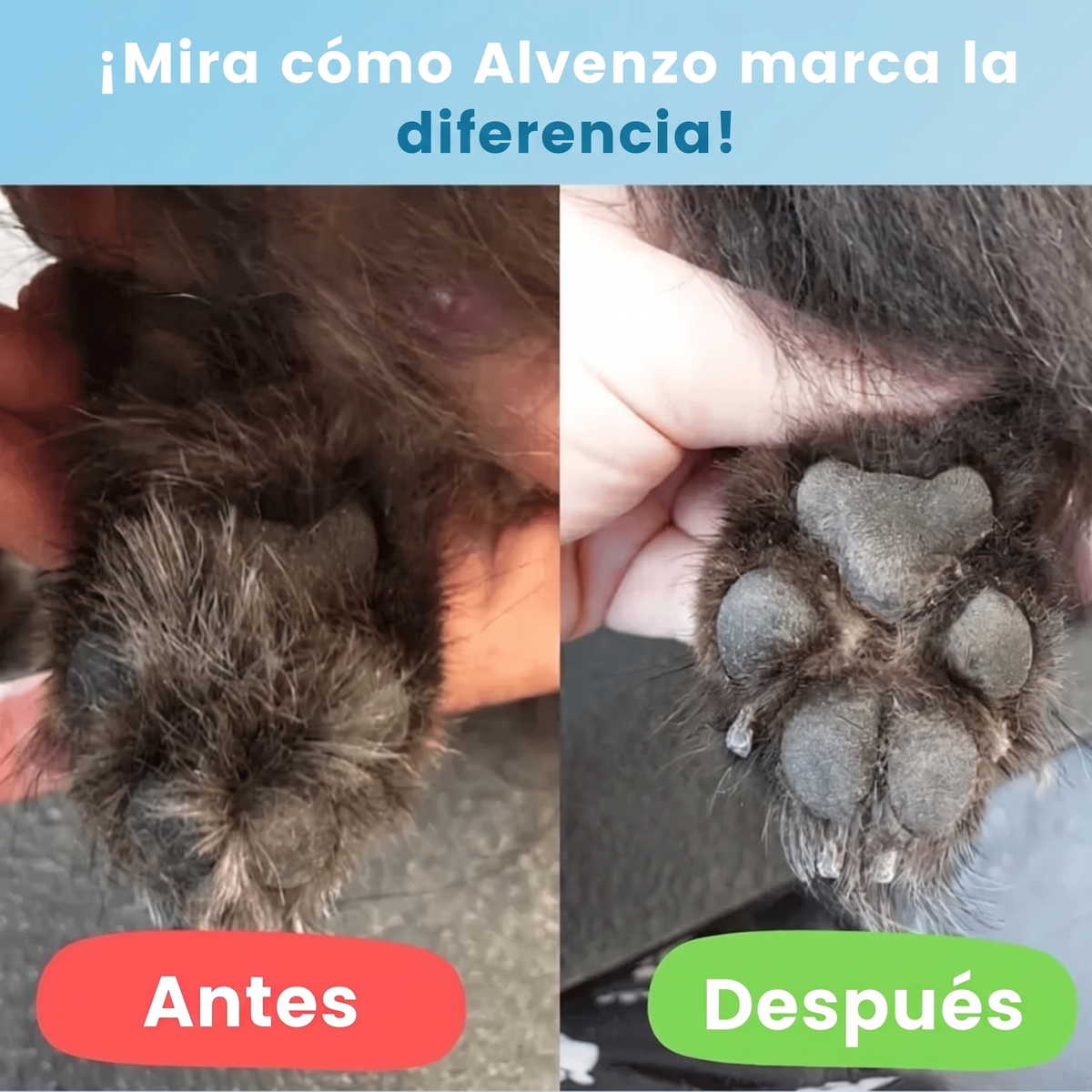 Perfilador de Precisión - Cuidado de patas sin dolor en segundos
