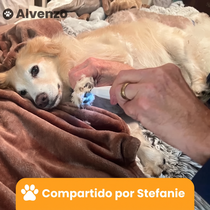 Perfilador de Precisión - Cuidado de patas sin dolor en segundos