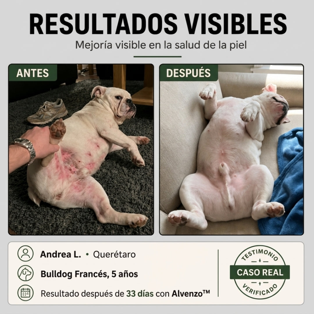 Fórmula veterinaria natural para eliminar hongos en perros