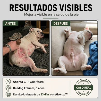 Fórmula veterinaria natural para eliminar hongos en perros