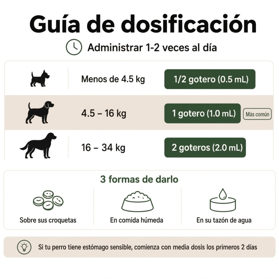 Fórmula veterinaria natural para eliminar hongos en perros