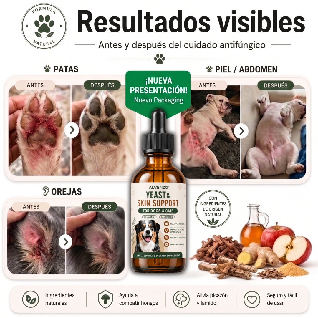 Fórmula veterinaria natural para eliminar hongos en perros