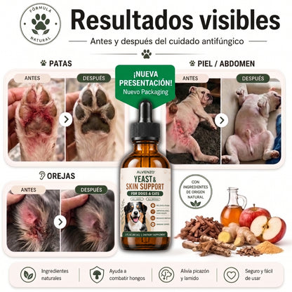 Fórmula veterinaria natural para eliminar hongos en perros