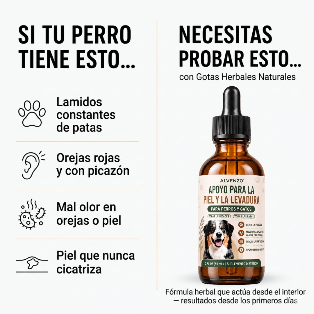 Fórmula Veterinaria Natural para Eliminar Hongos en Perros