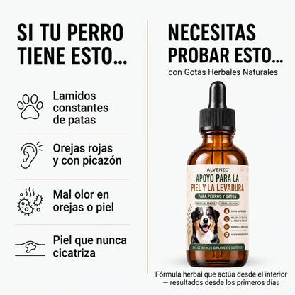 Fórmula Veterinaria Natural para Eliminar Hongos en Perros