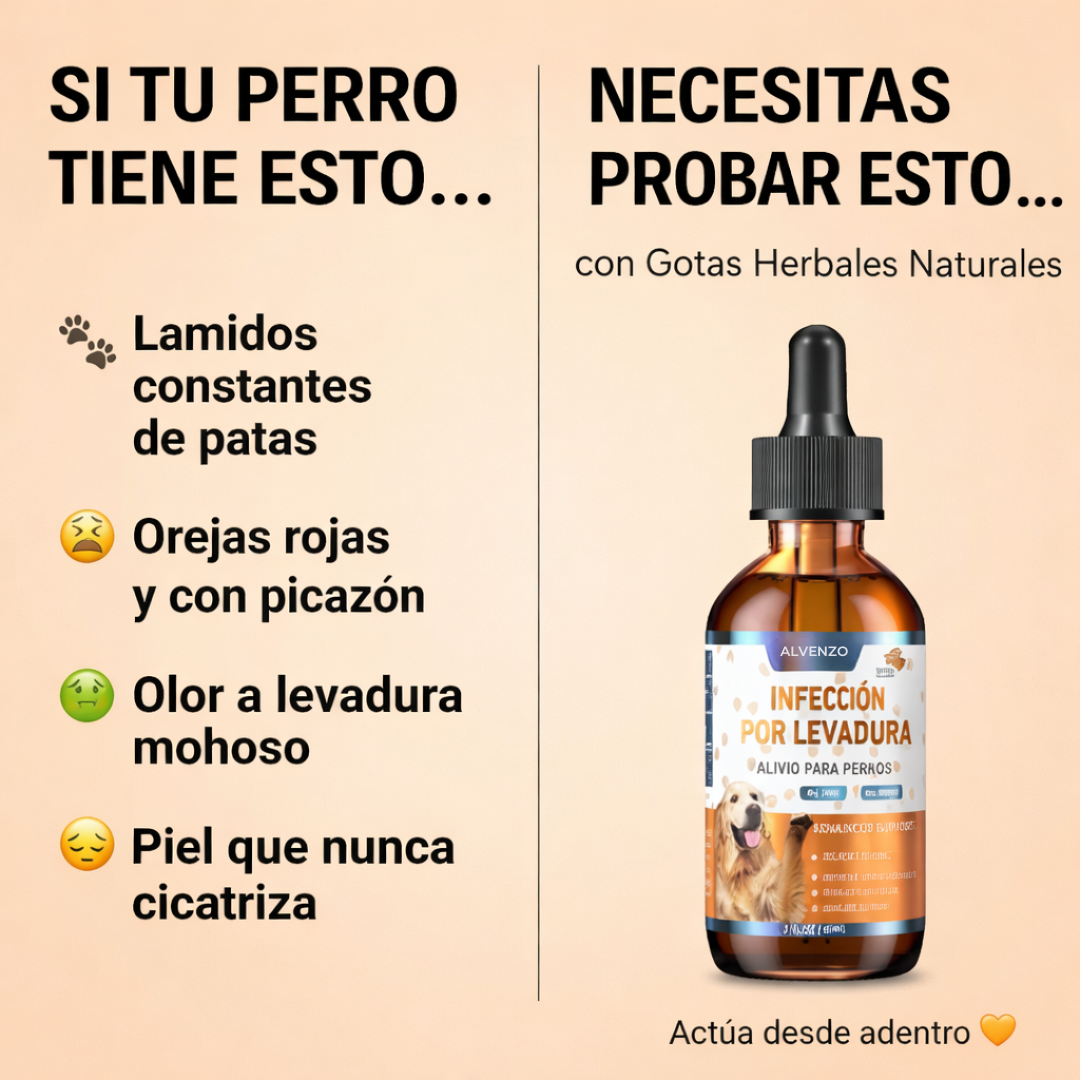Gotero Natural para Infecciones por Hongos