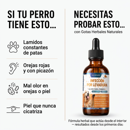 Fórmula Veterinaria Natural para Eliminar Hongos en Perros