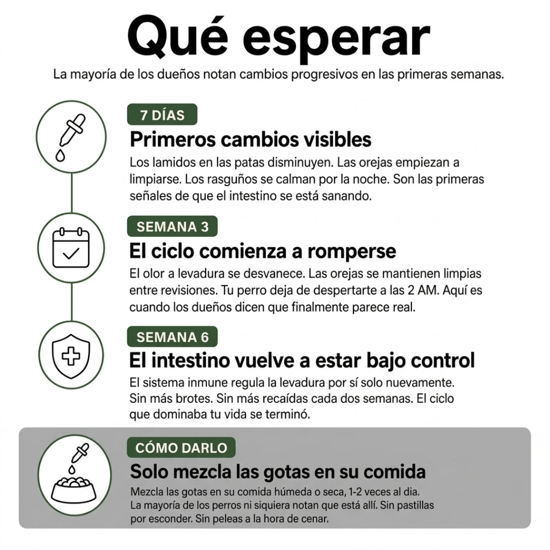 Fórmula veterinaria natural para eliminar hongos en perros