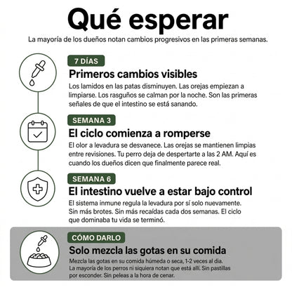 Fórmula veterinaria natural para eliminar hongos en perros