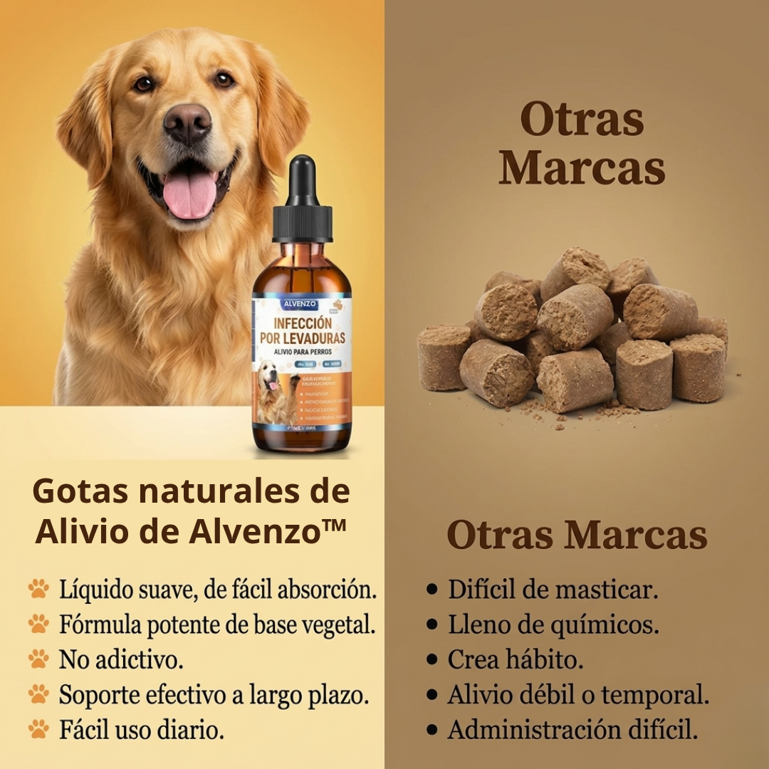 Gotero Natural para Infecciones por Hongos