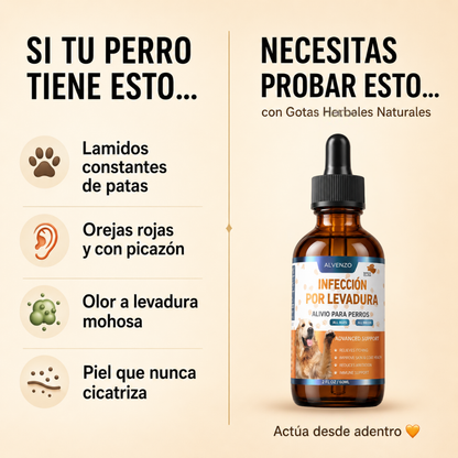 Tratamiento Natural contra Hongos e Infecciones