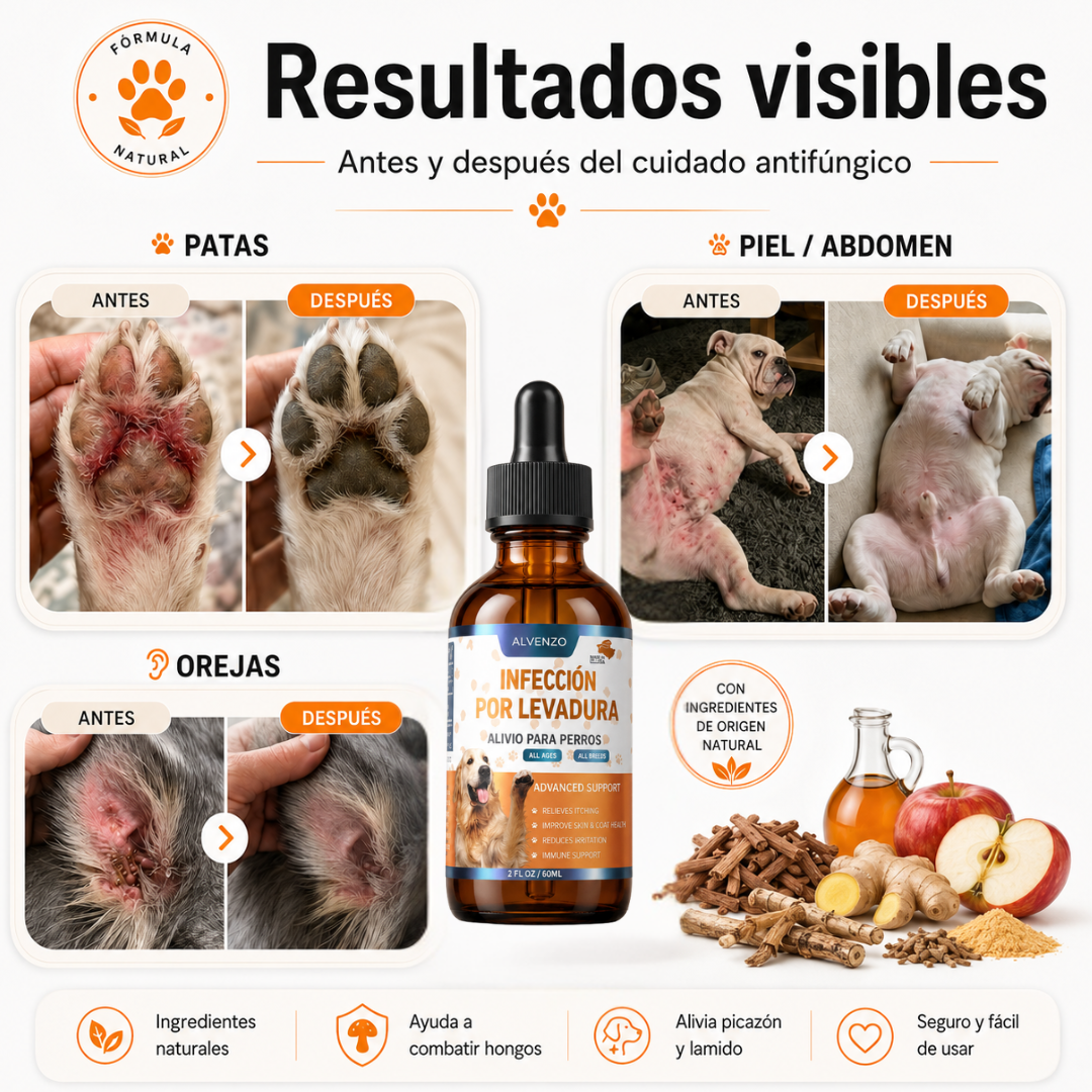 Fórmula Veterinaria Natural para Eliminar Hongos en Perros