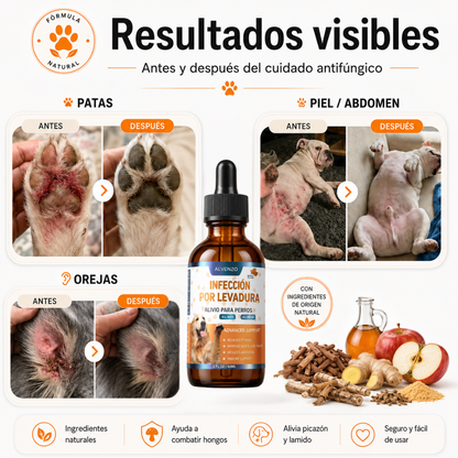 Fórmula Veterinaria Natural para Eliminar Hongos en Perros