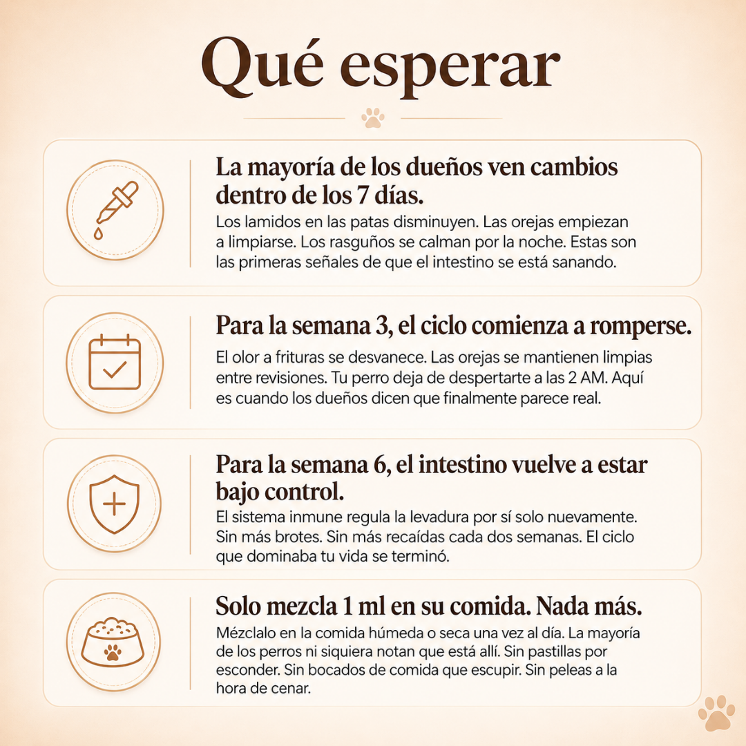 Tratamiento Natural contra Hongos e Infecciones